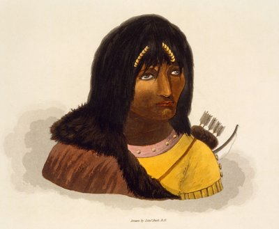 Portrait of a Stone Indian (from 